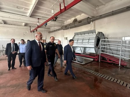Gəncədə Qurban Bayramı günlərində heyvanların satış və kəsim məntəqələrinə monitorinq təşkil olunub