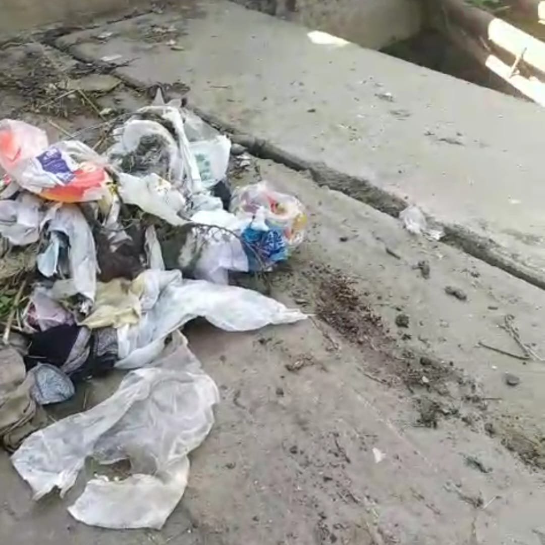 Gəncənin Bayan Küçəsindəki Xanarx: Tullantılar İçində Boğulan Təbiət